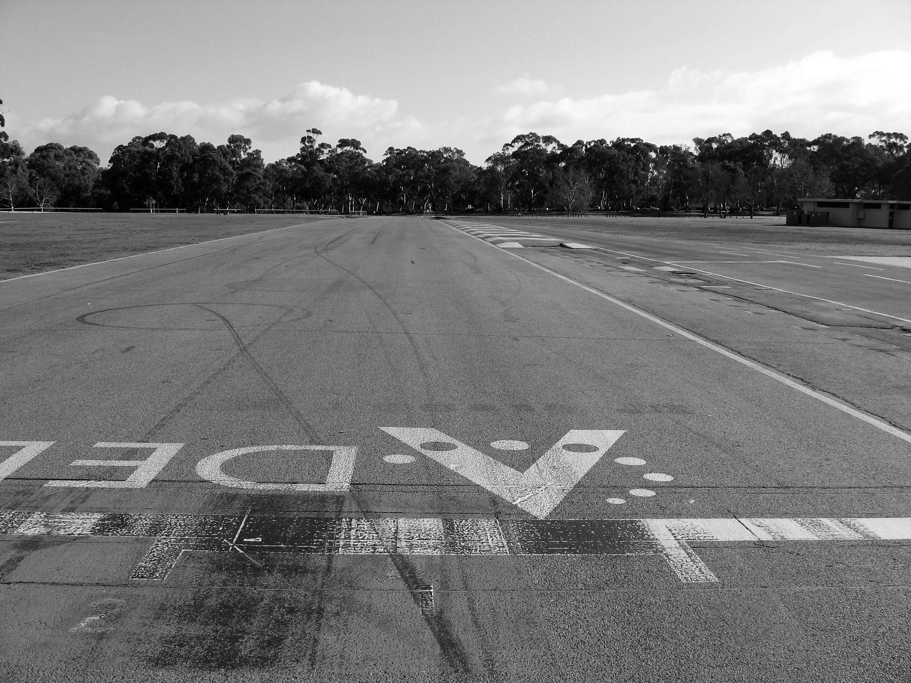 Ground-level view down an empty stretch of track: worn grid markings and a large painted word in the foreground, the asphalt running away to a line of eucalyptus trees under a cloudy sky.