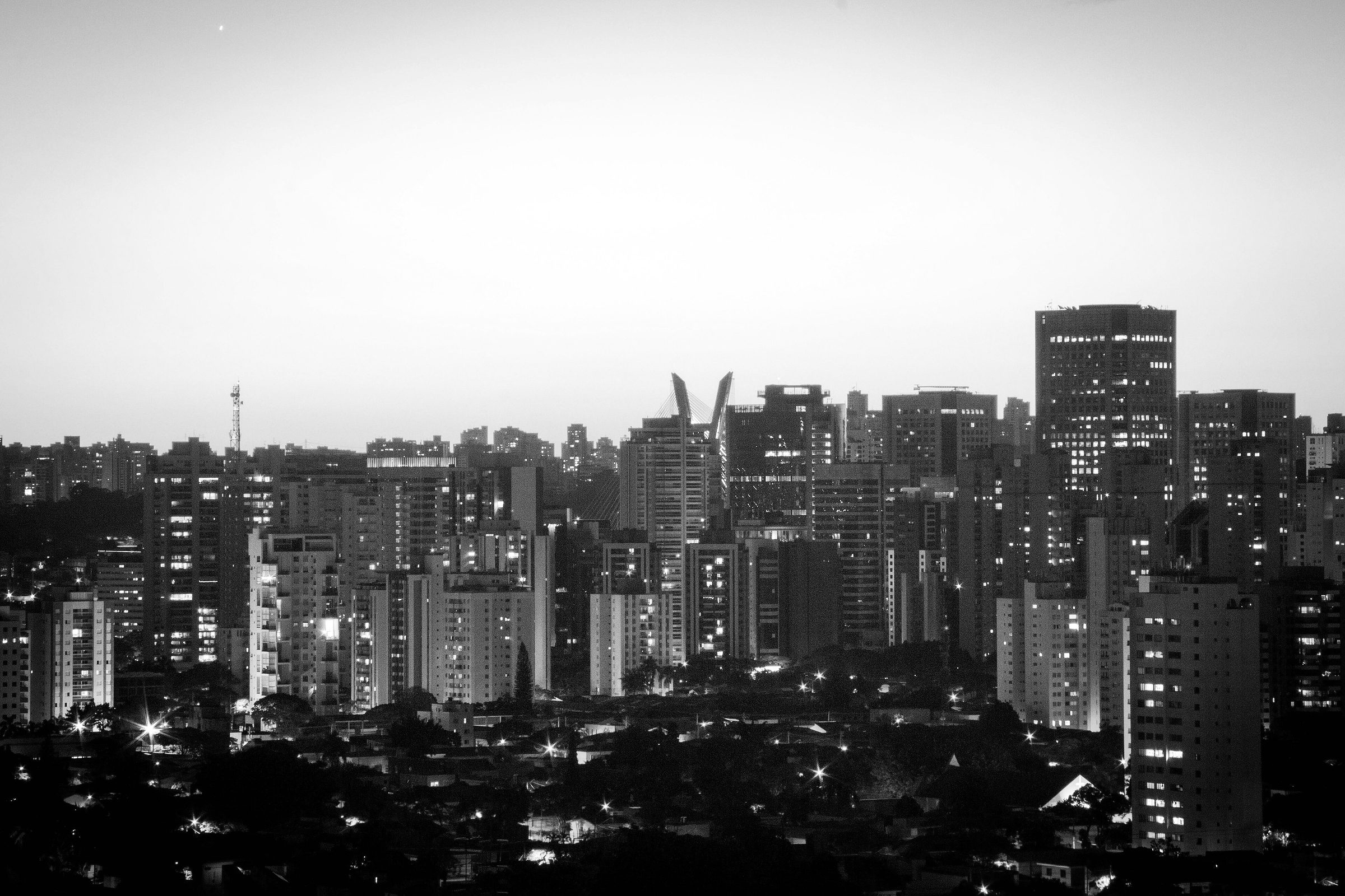 The silhouettes of tower blocks against a pale evening sky, their windows beginning to light up above dark trees.
