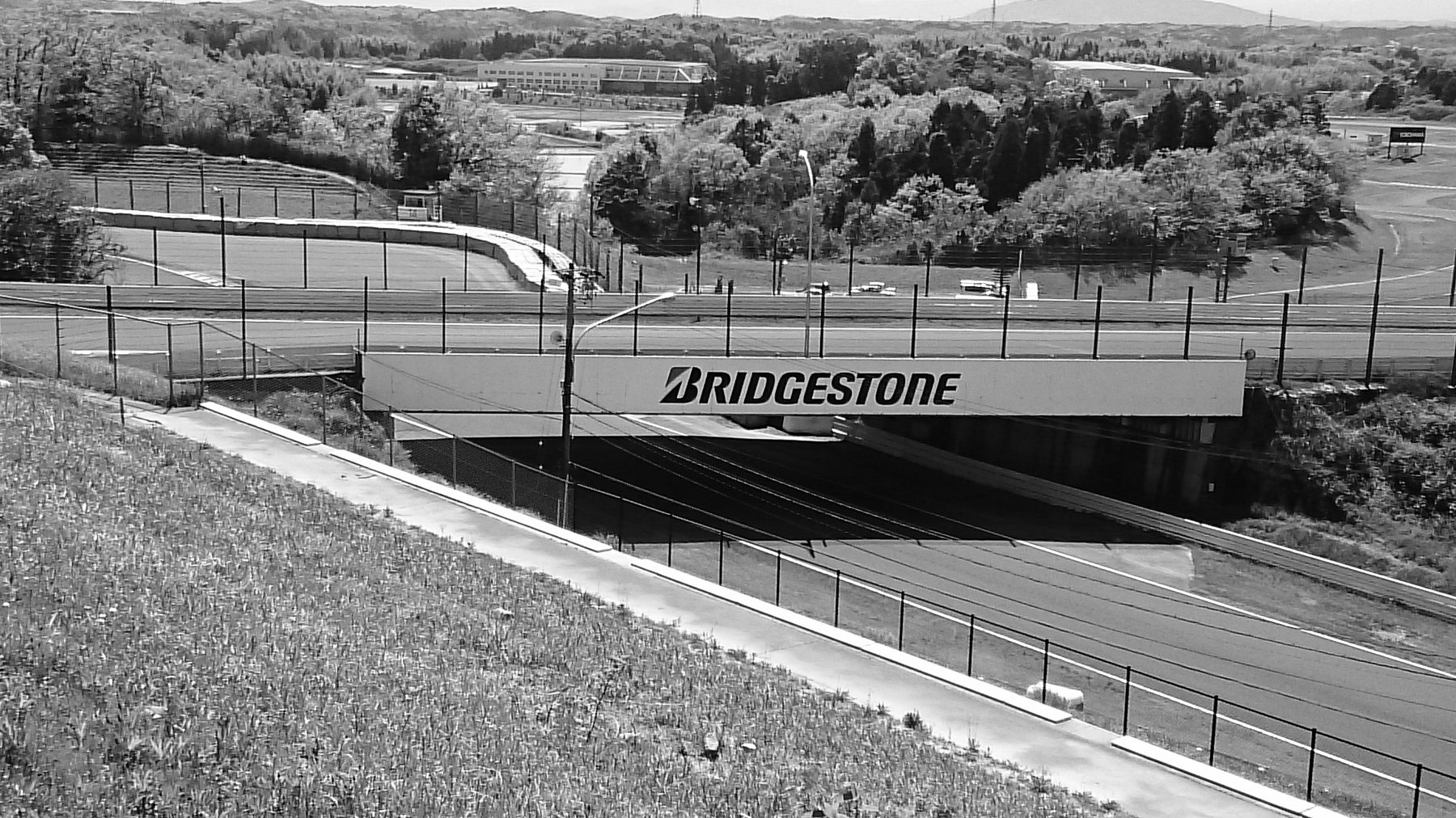 A road bridge carries one part of a racing circuit over another, grass banks and trees around it.